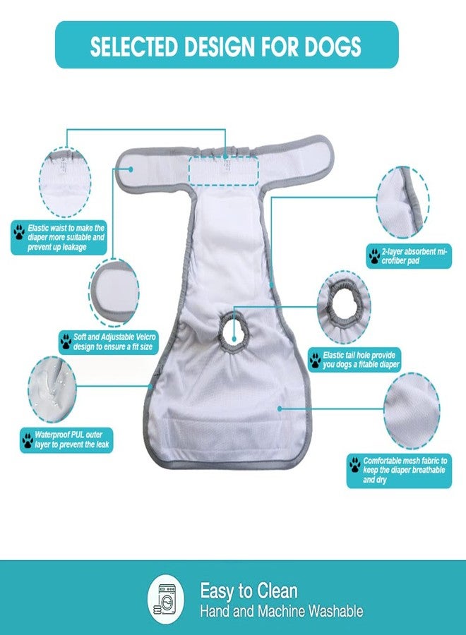 Qpets® Diaper for Dogs Female, 2 Pack Pet Use Soft Reusable Female Dog Diapers, 120ml Water Absorbption Comfort Reusable Doggy Diapers for Female Dogs & Puppy(M, Recommended Waist 14''-20'') - Image 3